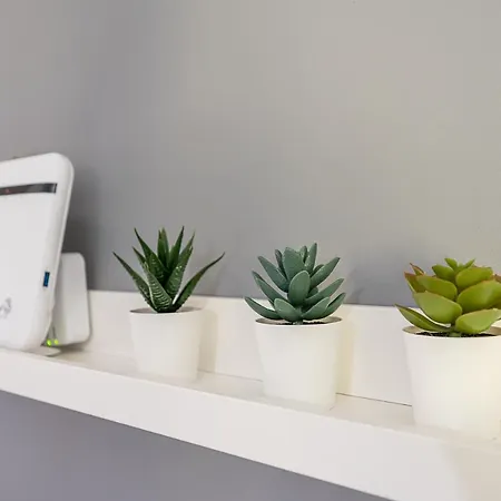 Il Mattone Rosso/zona Politecnico E Borgosan Paolo